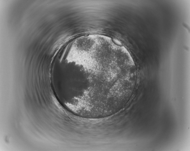 X0000102400002200808291455