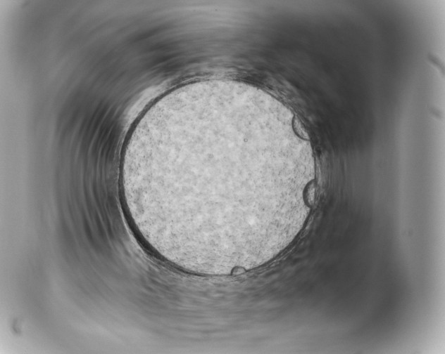 X0000102400003200808291455