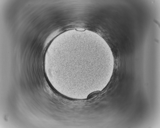 X0000102400004200808291455