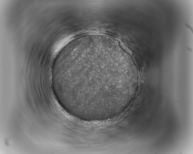 X0000102400005200808291455