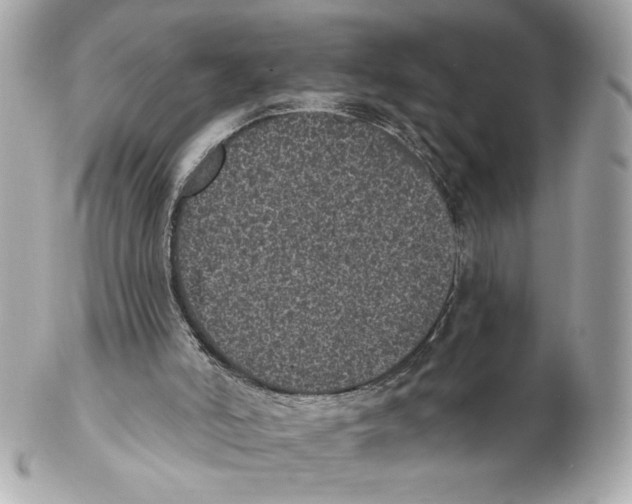 X0000102400006200808291455