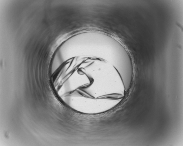 X0000102400007200808291455