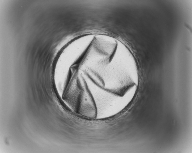 X0000102400008200808291455