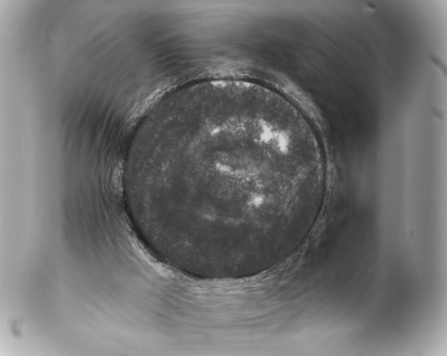 X0000102400009200808291455