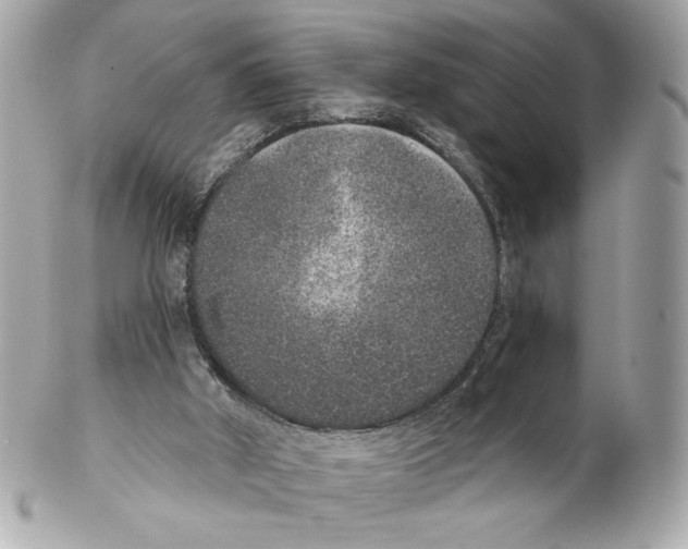 X0000102400010200808291455
