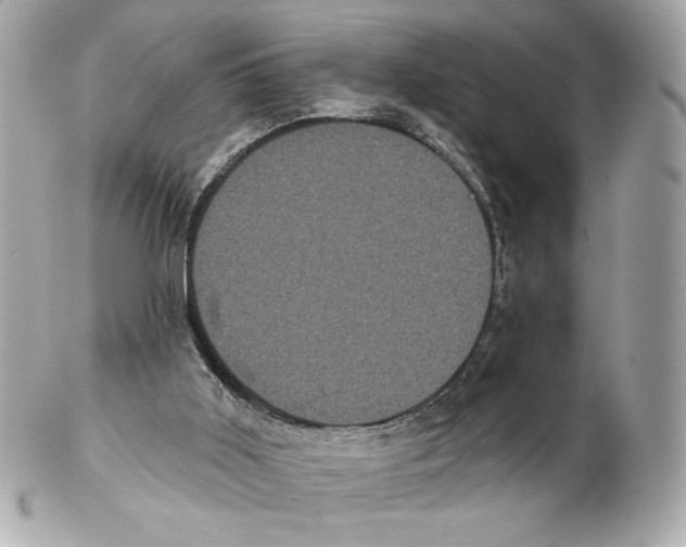 X0000102400011200808291455