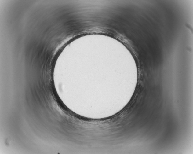 X0000102400012200808291455