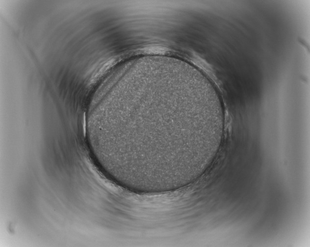 X0000102400013200808291455