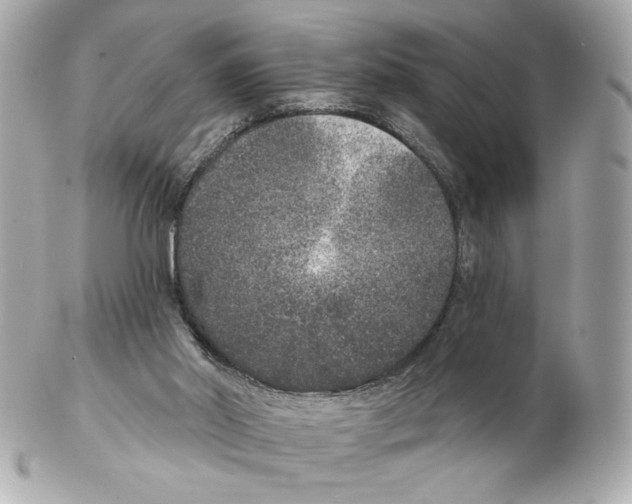 X0000102400014200808291455