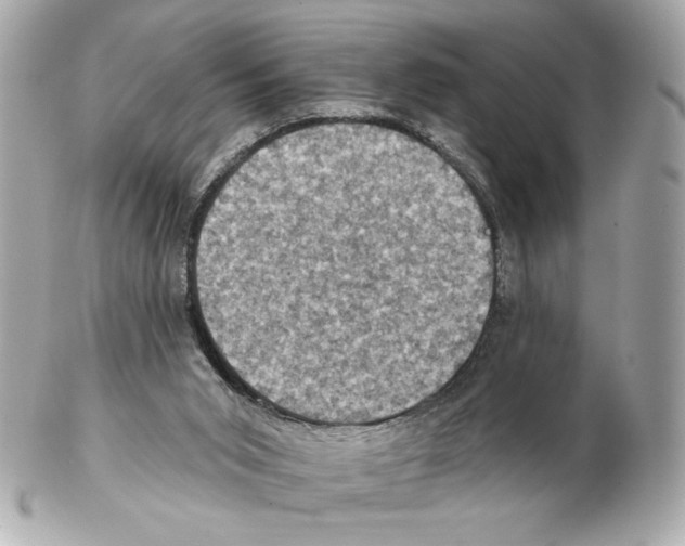 X0000102400015200808291455