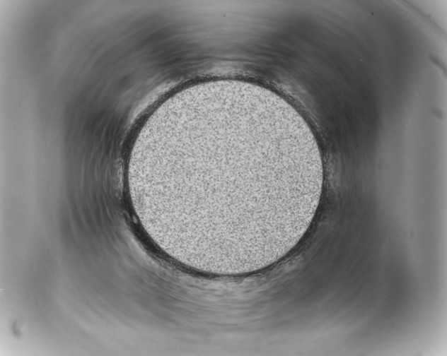 X0000102400016200808291455