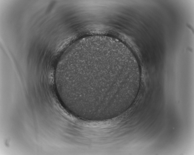 X0000102400017200808291455