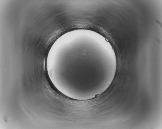 X0000102400019200808291455
