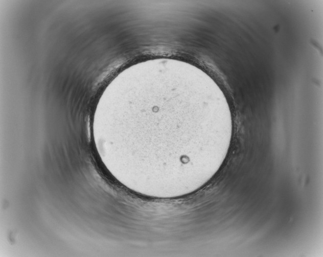 X0000102400020200808291455