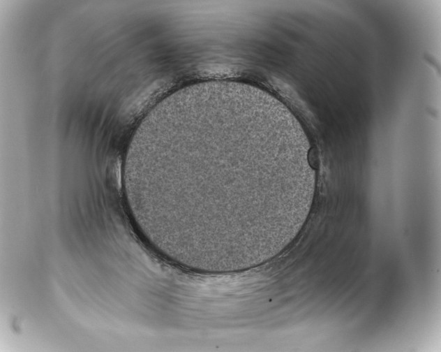 X0000102400021200808291455