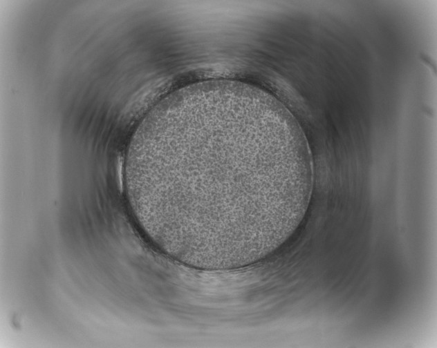 X0000102400022200808291455
