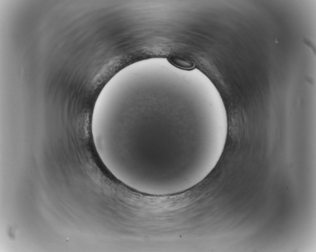 X0000102400023200808291455