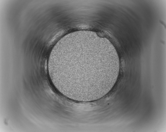 X0000102400024200808291455