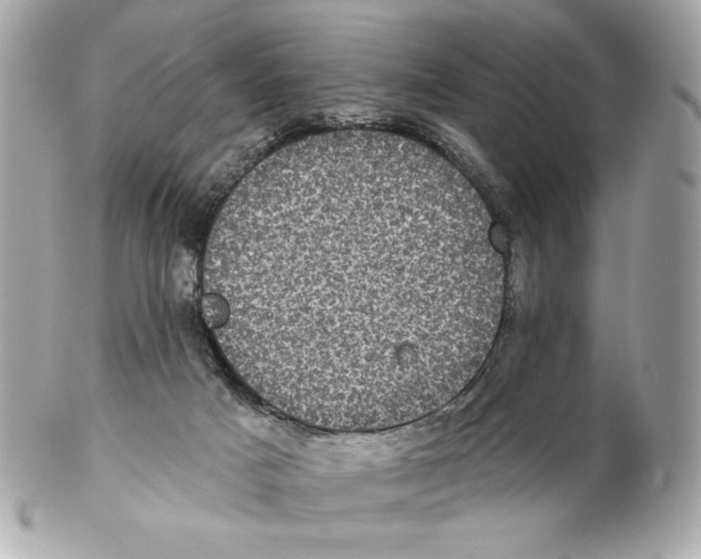 X0000102400025200808291455