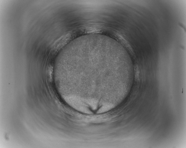 X0000102400026200808291455