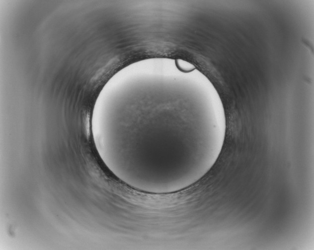 X0000102400027200808291455