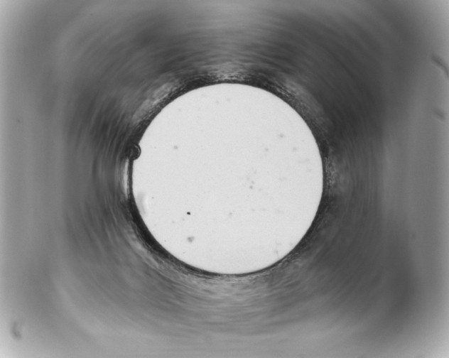 X0000102400028200808291455