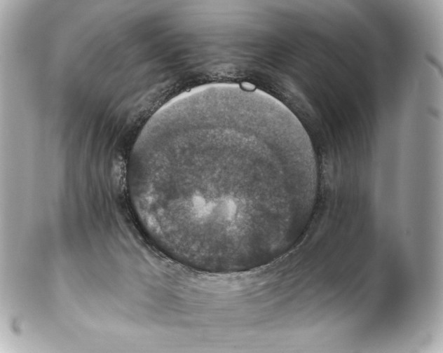 X0000102400029200808291455
