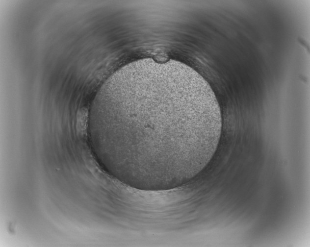 X0000102400030200808291455
