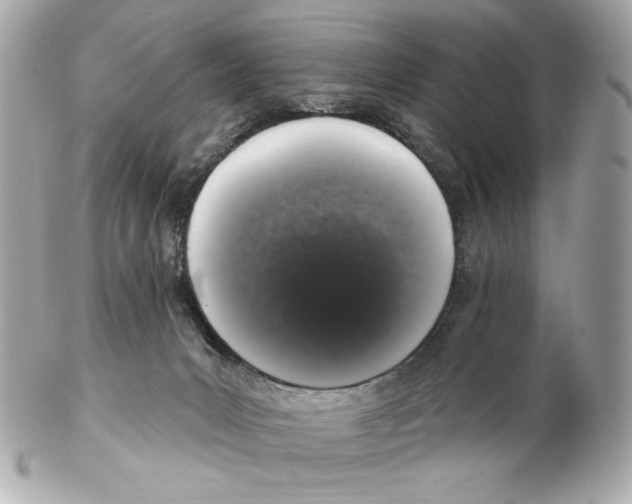X0000102400031200808291455