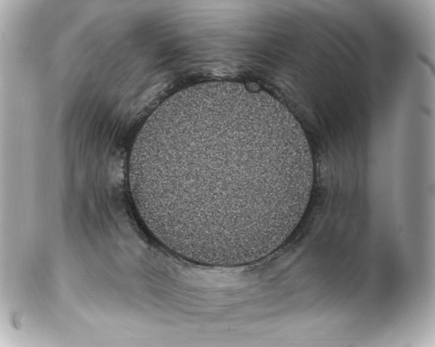 X0000102400032200808291455