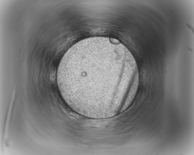 X0000102400033200808291455