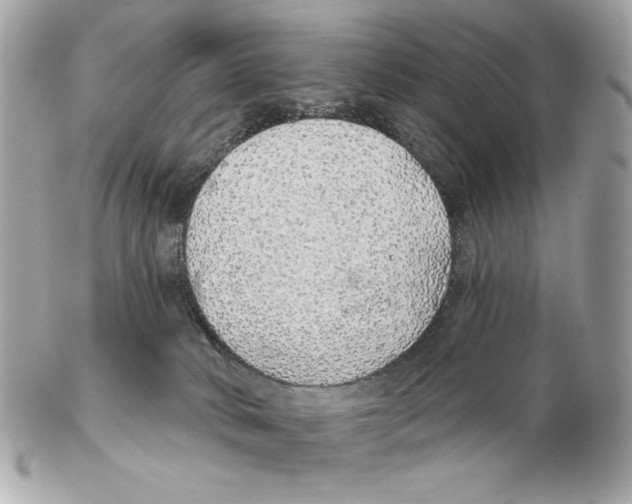 X0000102400034200808291455