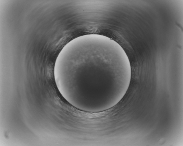 X0000102400035200808291455