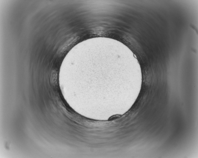 X0000102400036200808291455