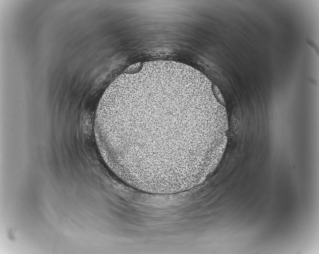X0000102400037200808291455