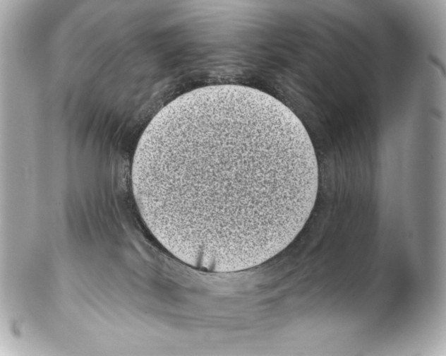 X0000102400038200808291455