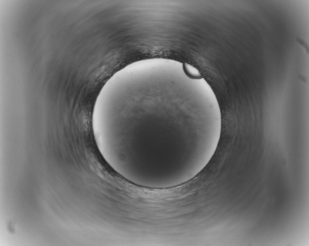 X0000102400039200808291455