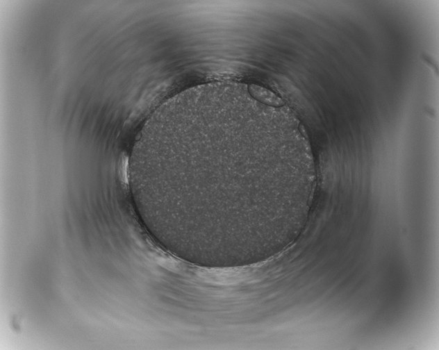 X0000102400041200808291455