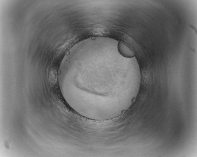 X0000102400043200808291455