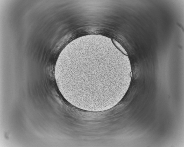 X0000102400044200808291455