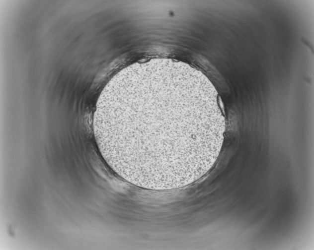 X0000102400045200808291455
