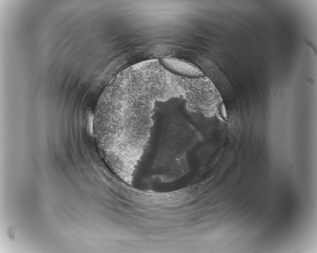 X0000102400046200808291455