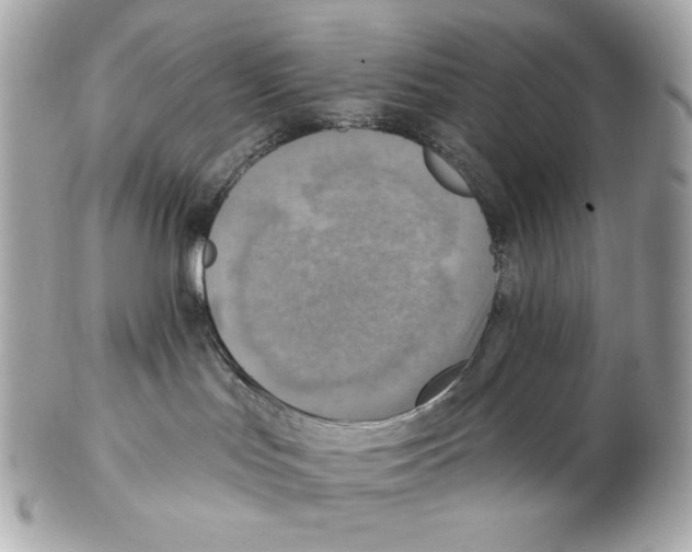 X0000102400047200808291455