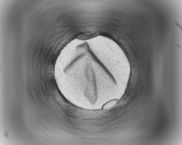 X0000102400048200808291455