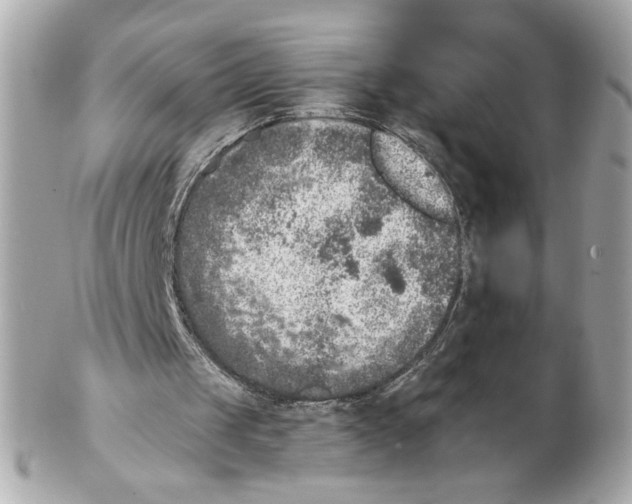 X0000102400049200808291454