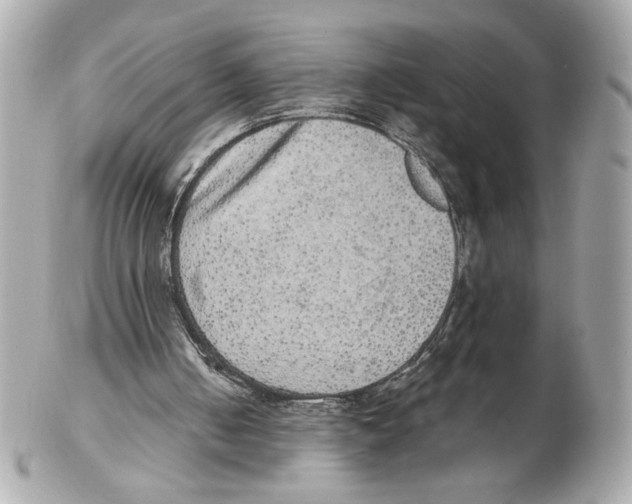 X0000102400050200808291454