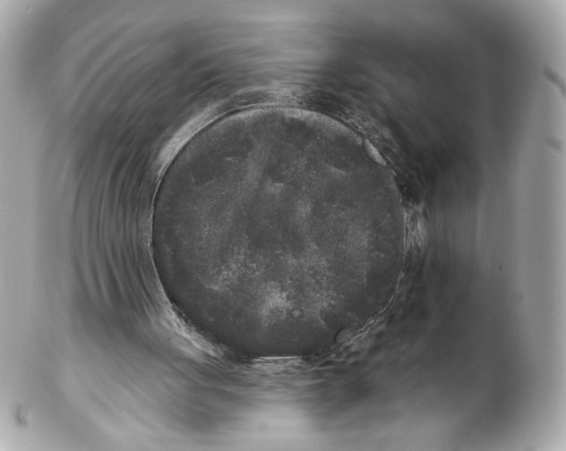 X0000102400051200808291454
