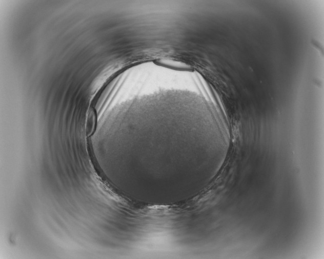 X0000102400052200808291454