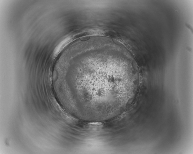 X0000102400053200808291454