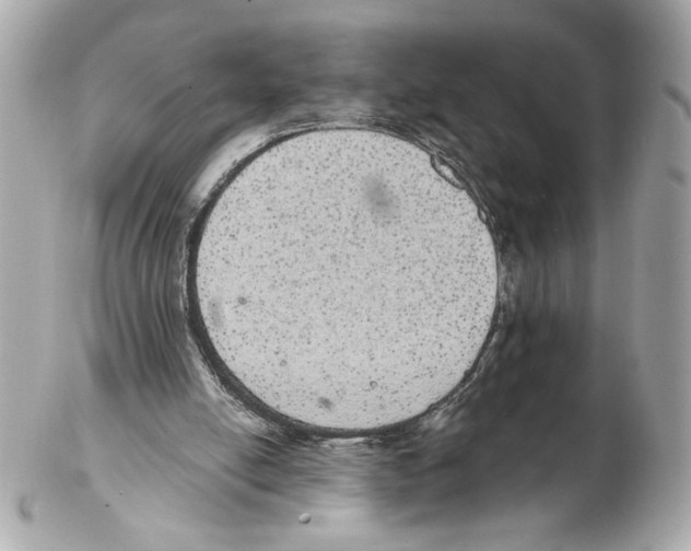 X0000102400054200808291454
